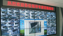 山东科技大学